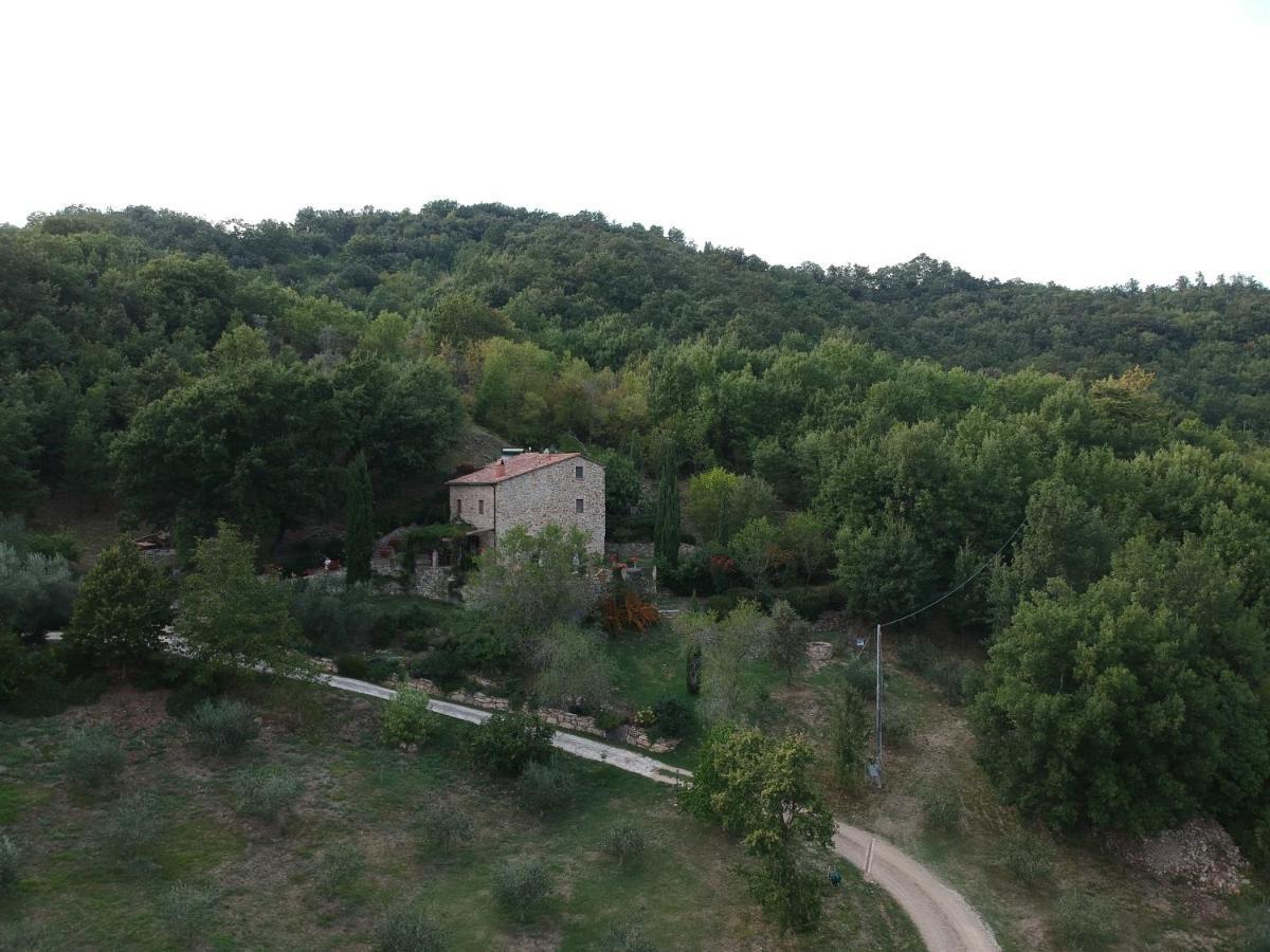 Podere Piandicava Castelnuovo di Val di Cecina Exteriör bild