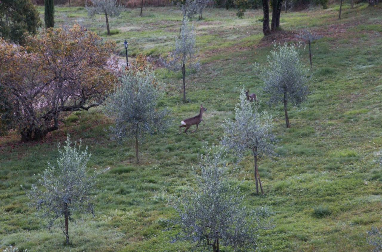 Podere Piandicava Castelnuovo di Val di Cecina Exteriör bild