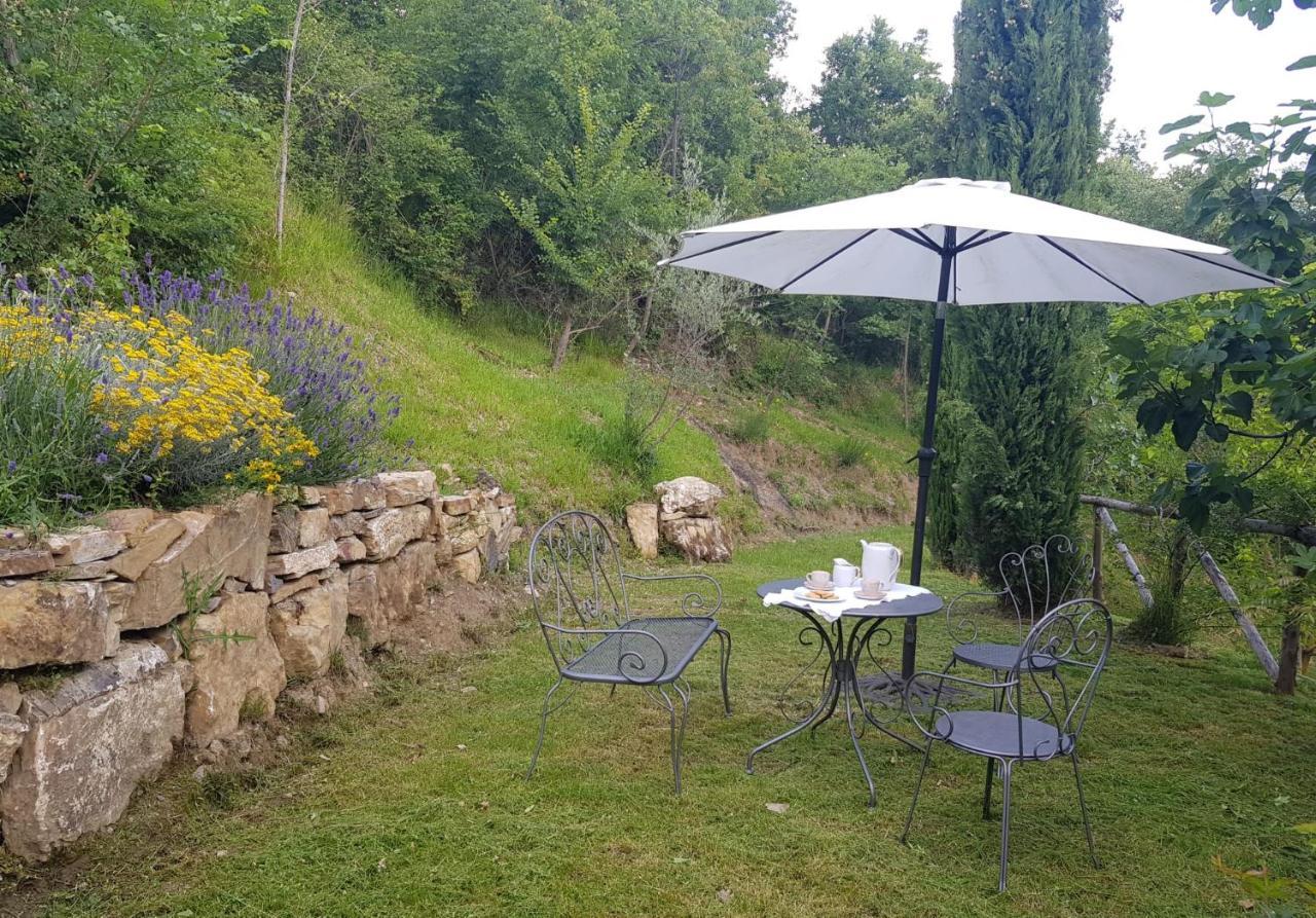 Podere Piandicava Castelnuovo di Val di Cecina Exteriör bild