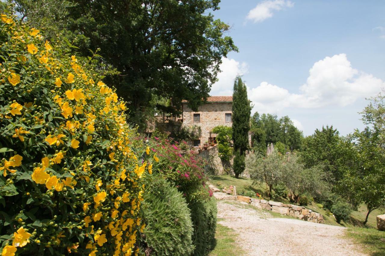 Podere Piandicava Castelnuovo di Val di Cecina Exteriör bild